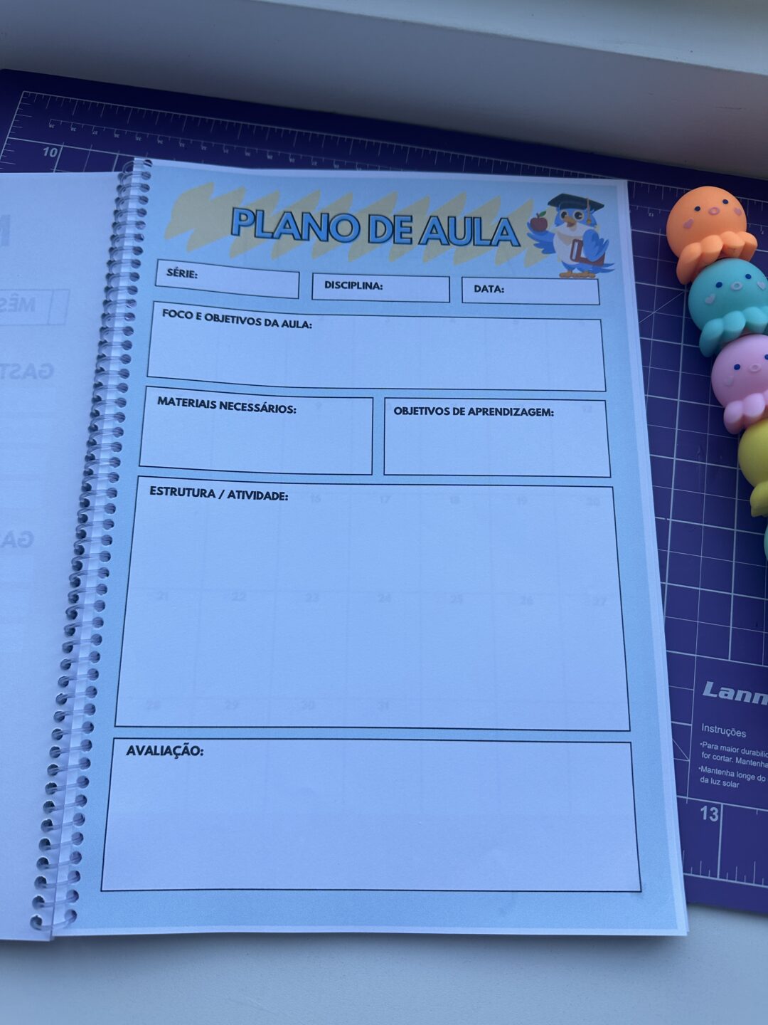 Planner do professor - Imagem 4