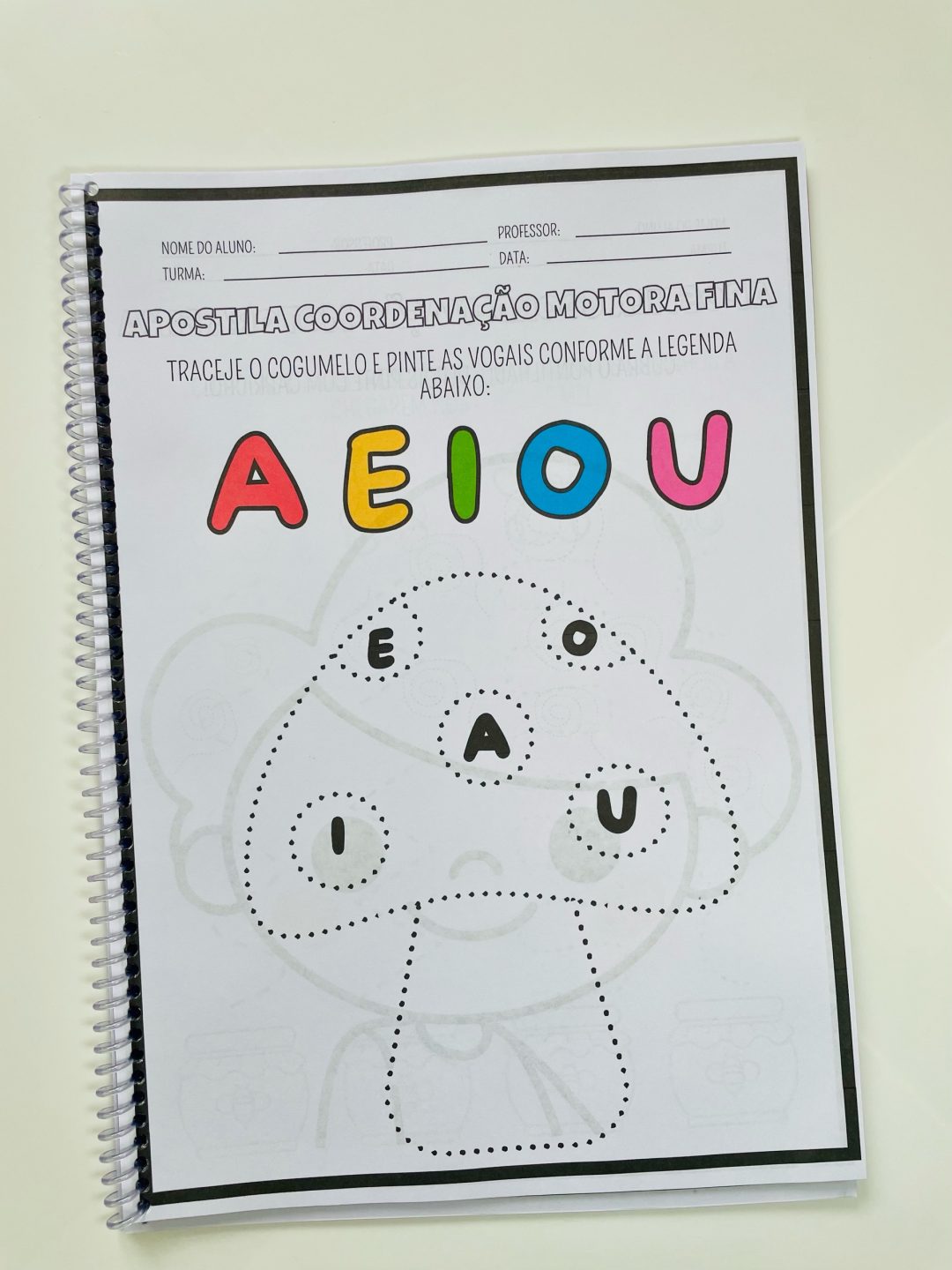 Combo de apostilas - Imagem 10