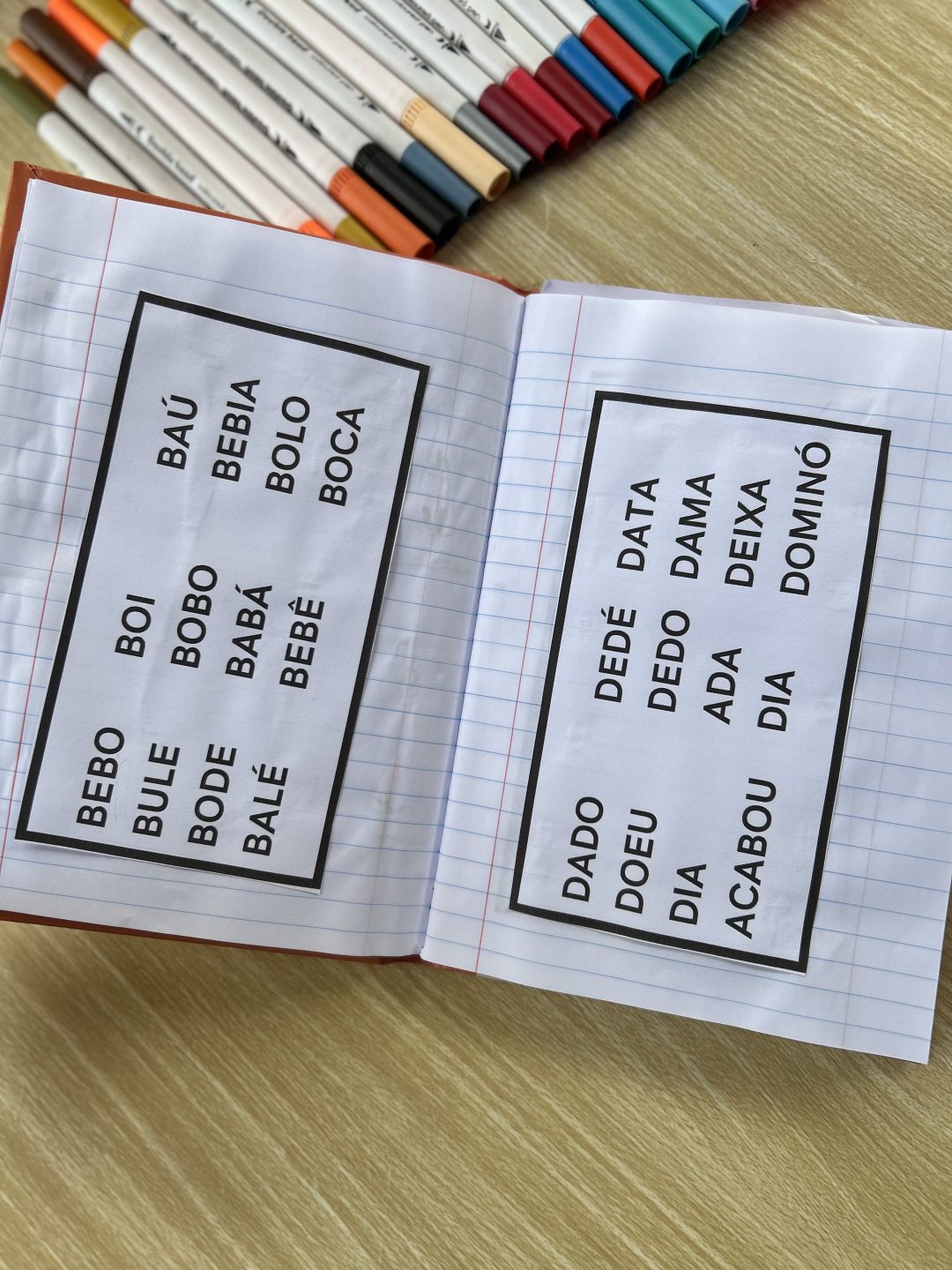 Caderno de leitura - Imagem 5