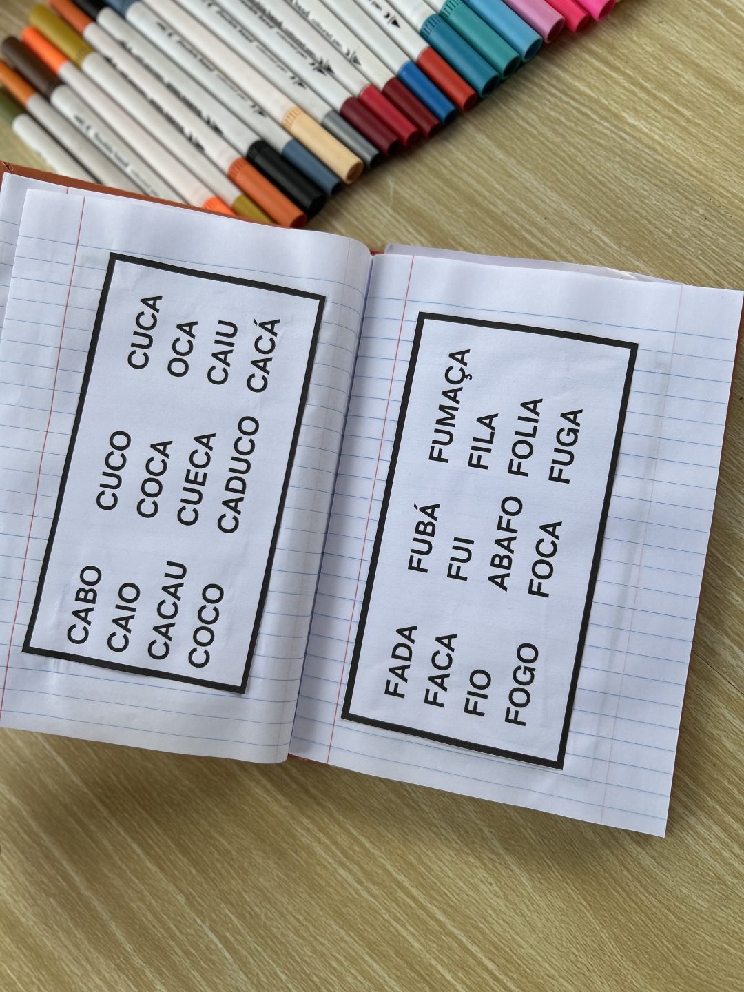 Caderno de leitura - Imagem 4