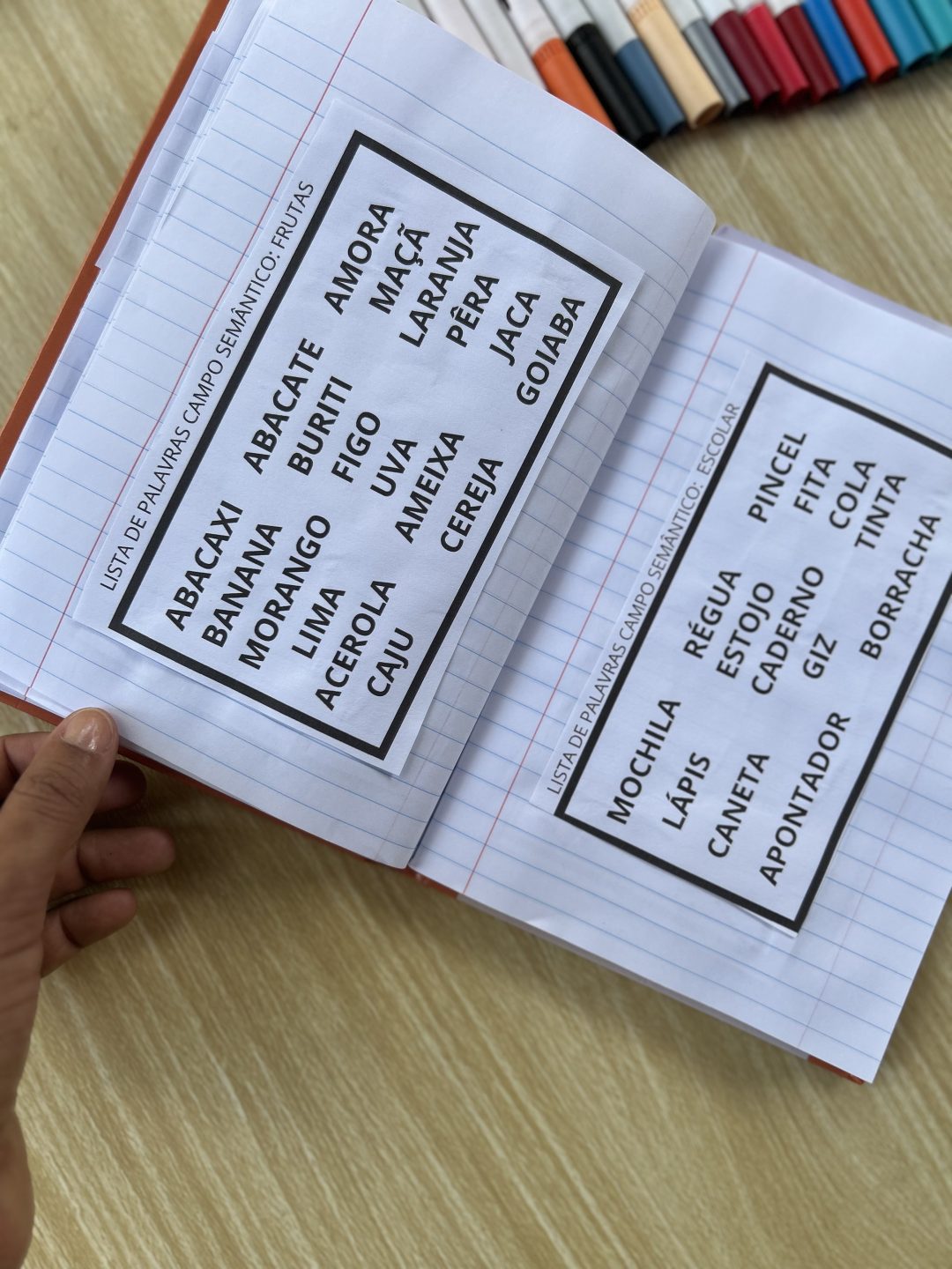 Caderno de leitura - Imagem 9