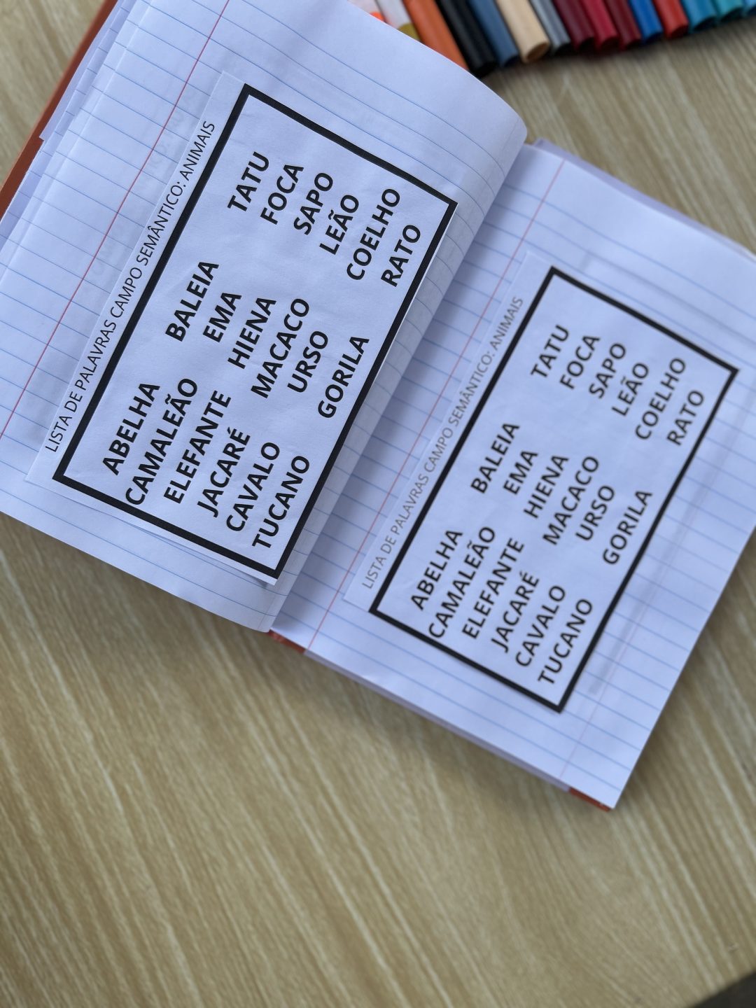Caderno de leitura - Imagem 12