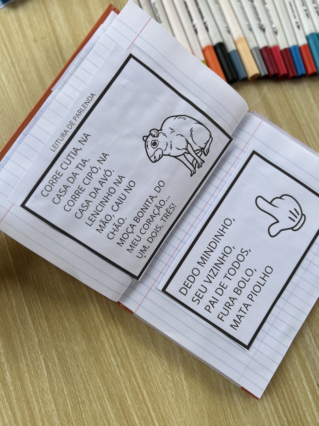 Caderno de leitura - Imagem 10
