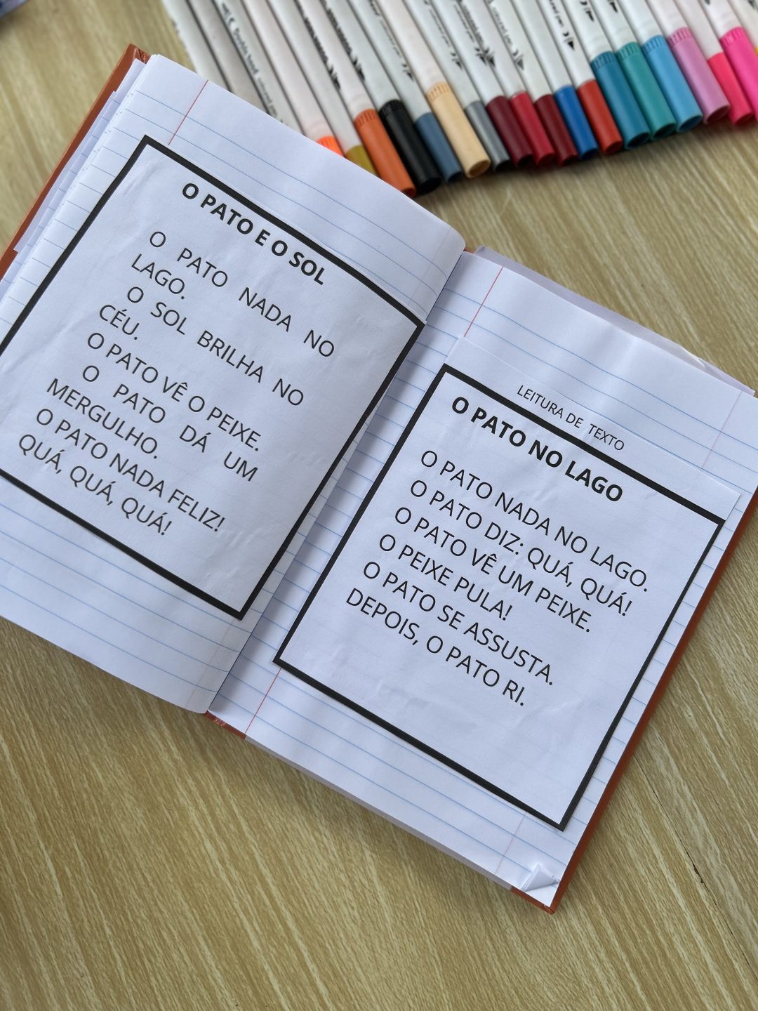 Caderno de leitura - Imagem 11