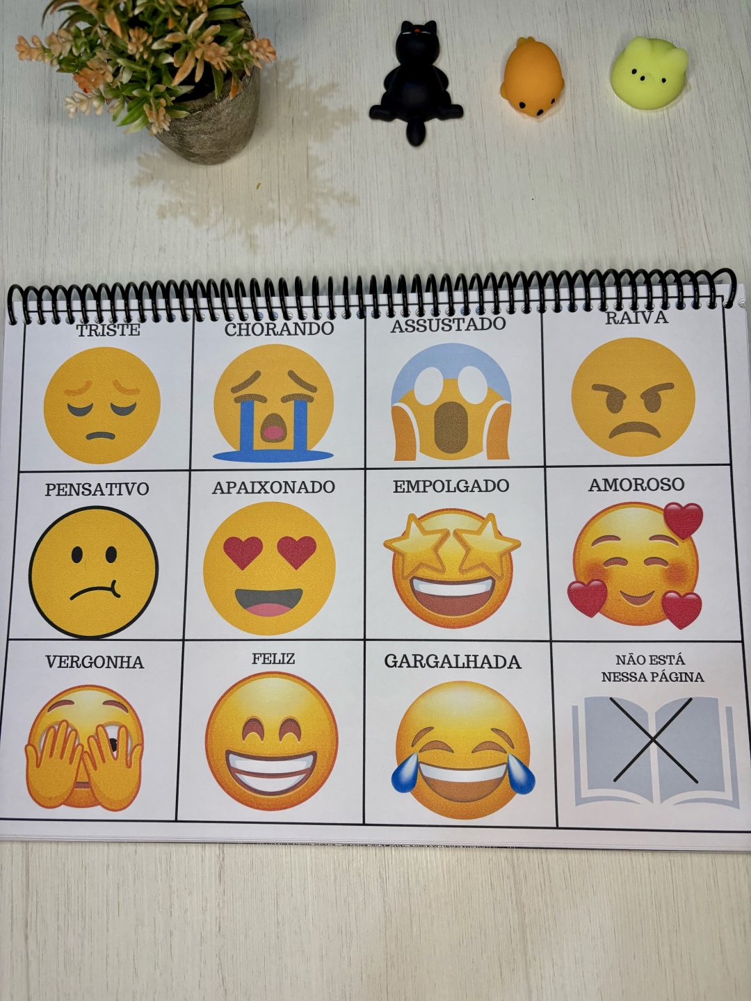 PRANCHA DE COMUNICAÇÃO - Imagem 3
