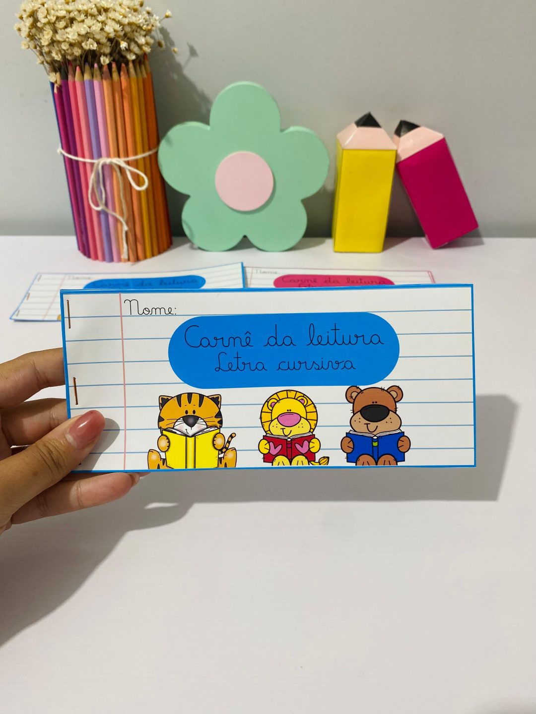 Carnê da leitura cursiva