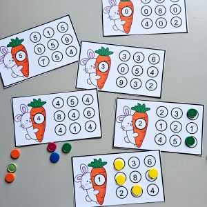 128.1) Foto Coelho e os numeros (1)